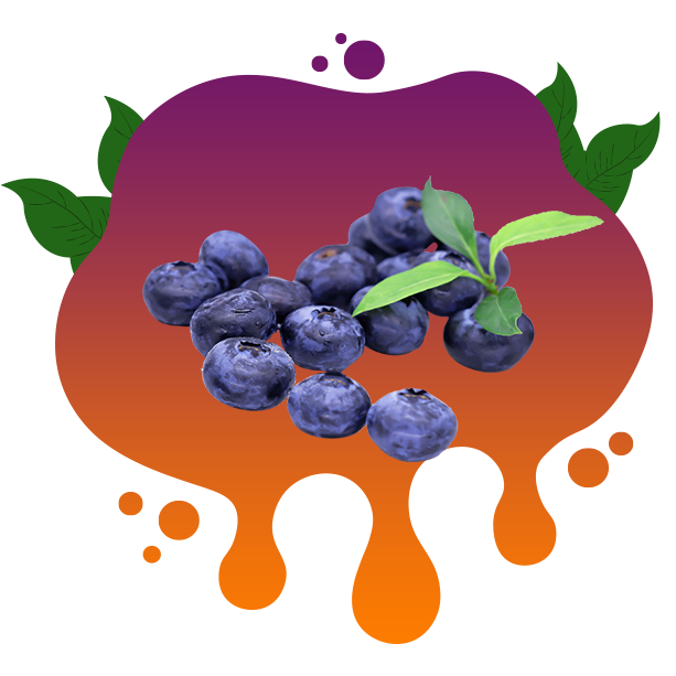 Blueberry